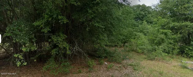 $26,000 | 0 Patton Street, Hamlet, NC 28345