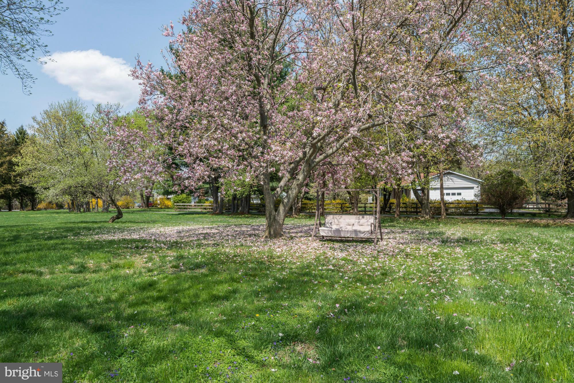 7389 Pindell School Road Fulton, MD 20759 - Photo 24 of 28 Backyard
