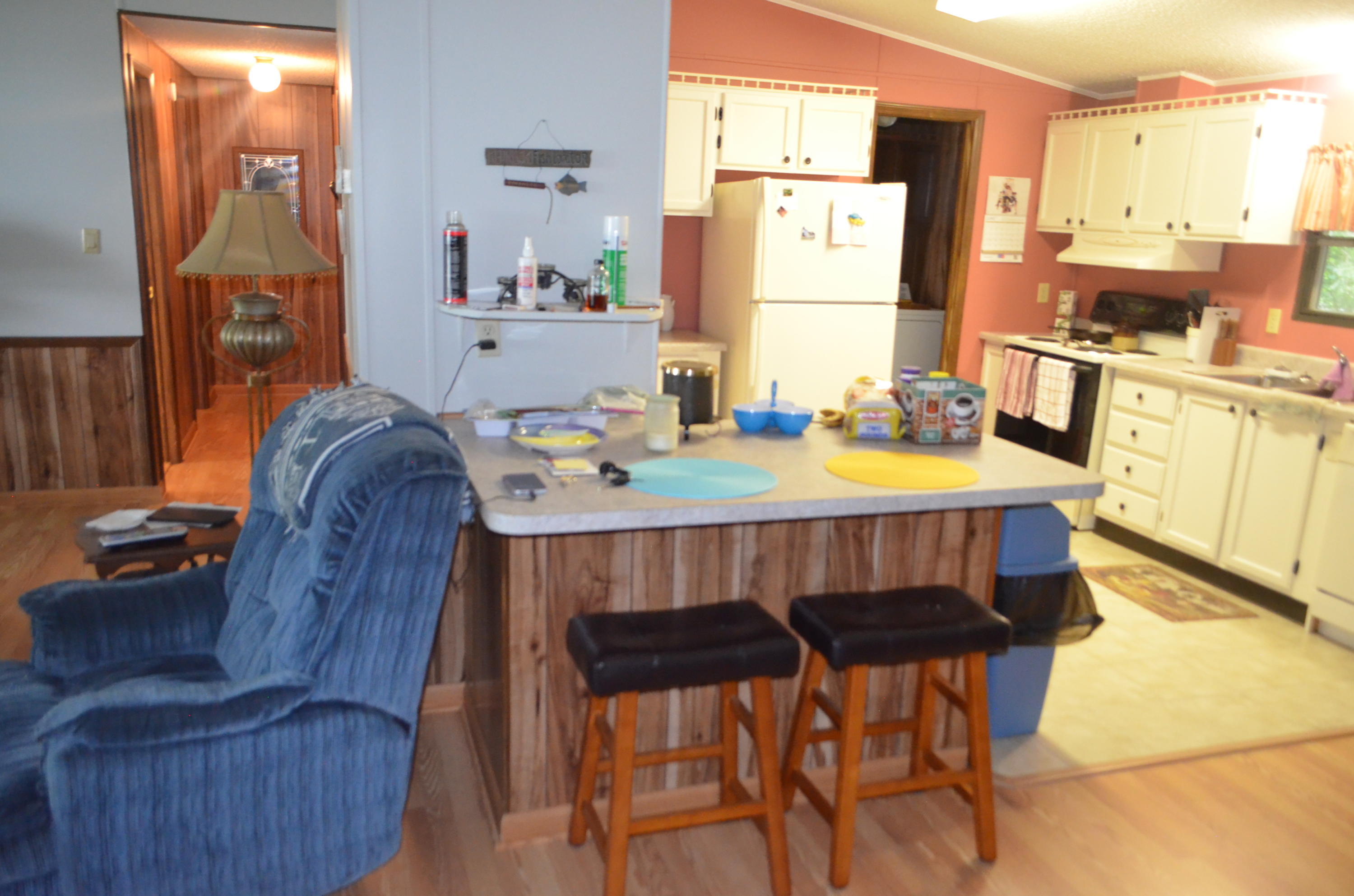 477 Chahokia Drive Rutledge, TN 37861 - Photo 19 of 40 DSC_0419