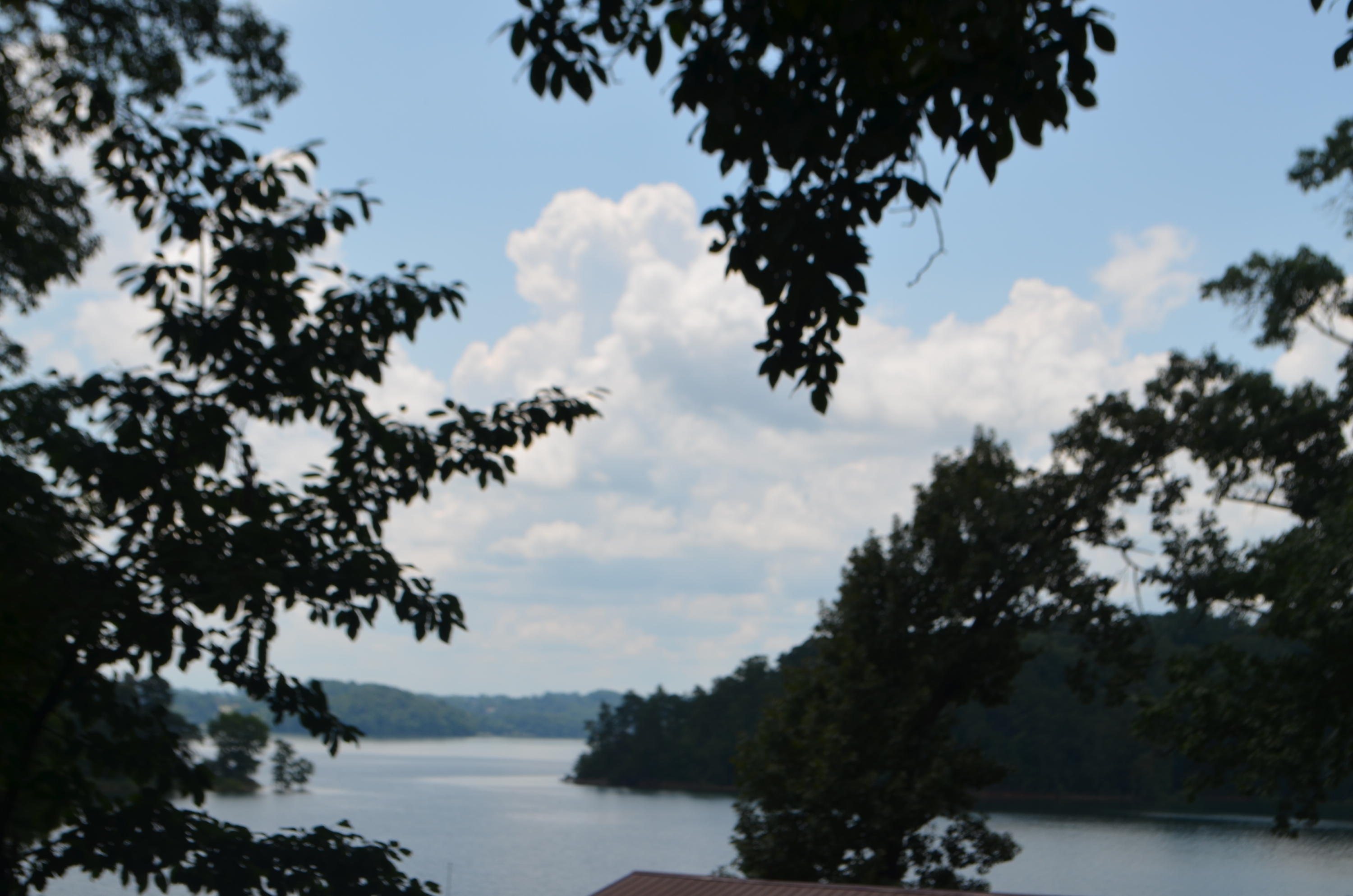 477 Chahokia Drive Rutledge, TN 37861 - Photo 40 of 40 DSC_0467