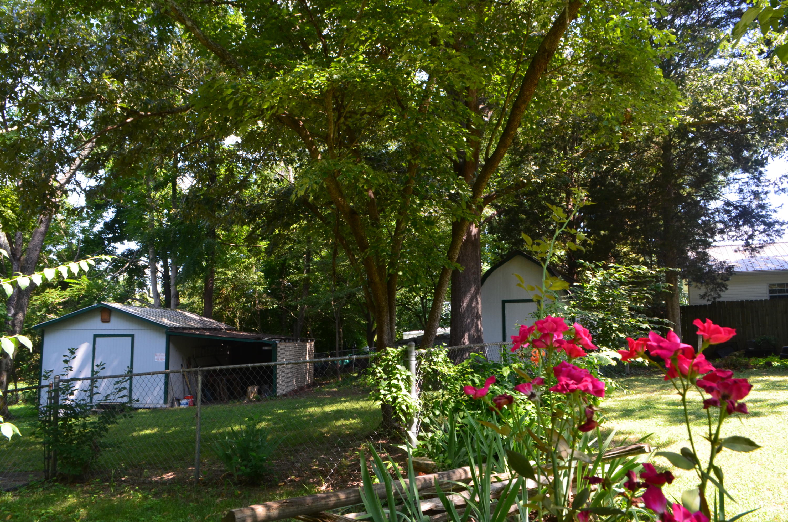 477 Chahokia Drive Rutledge, TN 37861 - Photo 8 of 40 DSC_0366