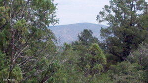 106 South Crescent Moon, Unit 296 Payson, AZ 85541 - Photo 2 of 2