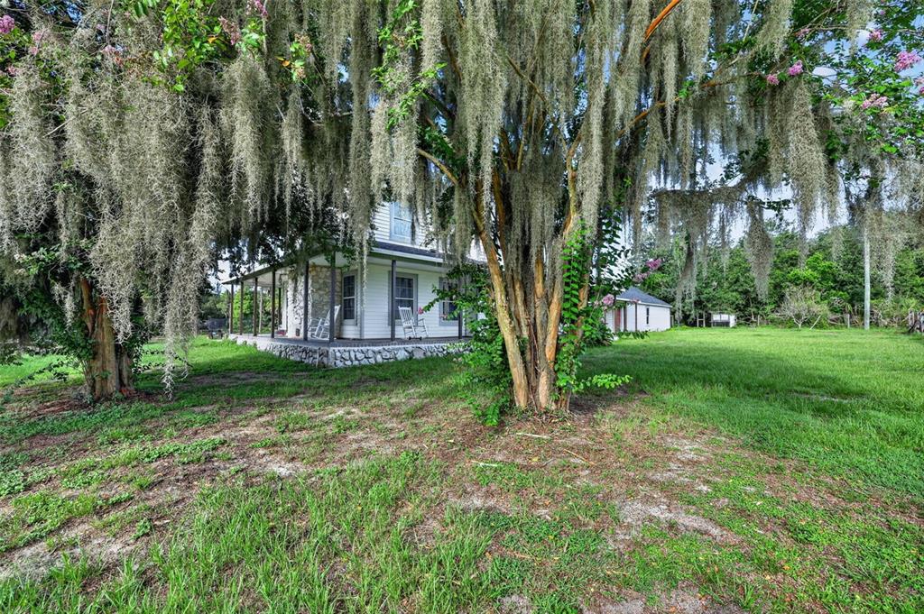 8922 Pritcher Road Lithia, FL 33547 - Photo 11 of 73