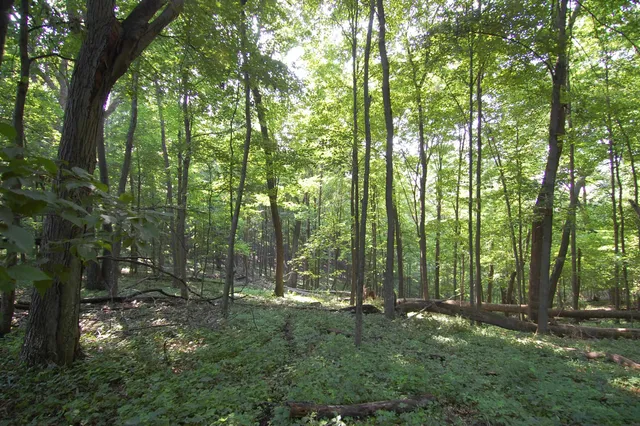 $391,500 | 45 Spring Hill Road, Richland Center, WI 53581