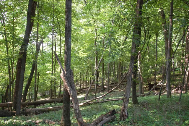 $391,500 | 45 Spring Hill Road, Richland Center, WI 53581