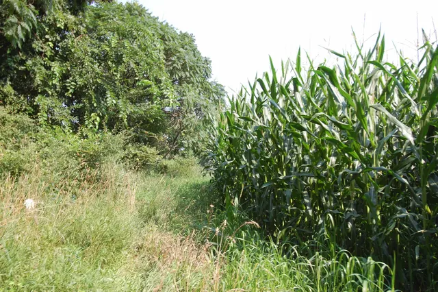 $391,500 | 45 Spring Hill Road, Richland Center, WI 53581