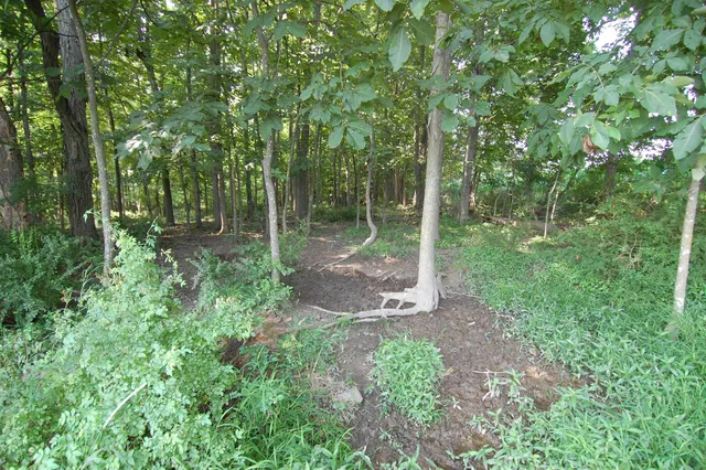 $391,500 | 45 Spring Hill Road, Richland Center, WI 53581