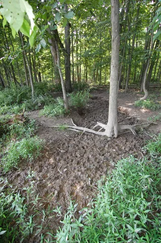 $391,500 | 45 Spring Hill Road, Richland Center, WI 53581