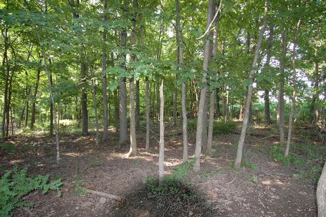 $391,500 | 45 Spring Hill Road, Richland Center, WI 53581