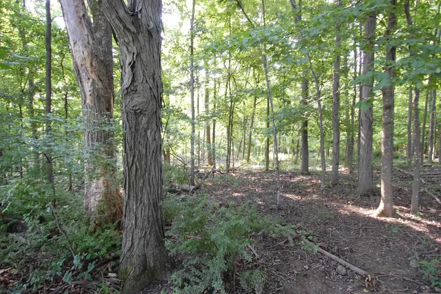 $391,500 | 45 Spring Hill Road, Richland Center, WI 53581