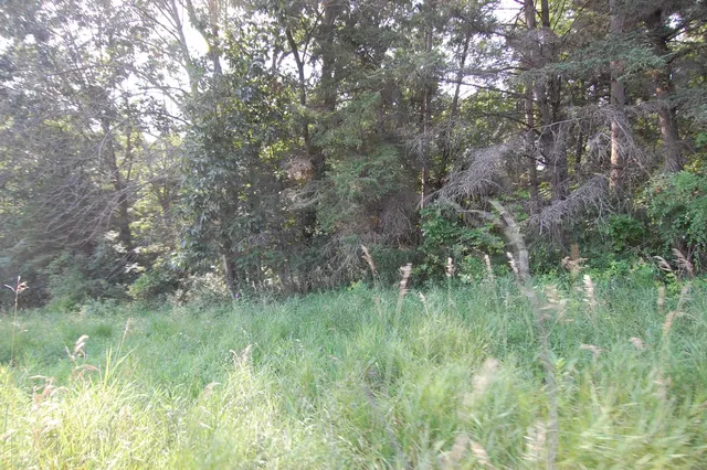 $391,500 | 45 Spring Hill Road, Richland Center, WI 53581