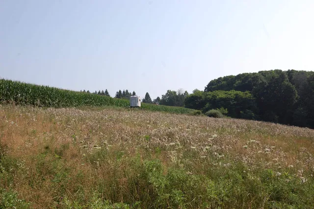 $391,500 | 45 Spring Hill Road, Richland Center, WI 53581