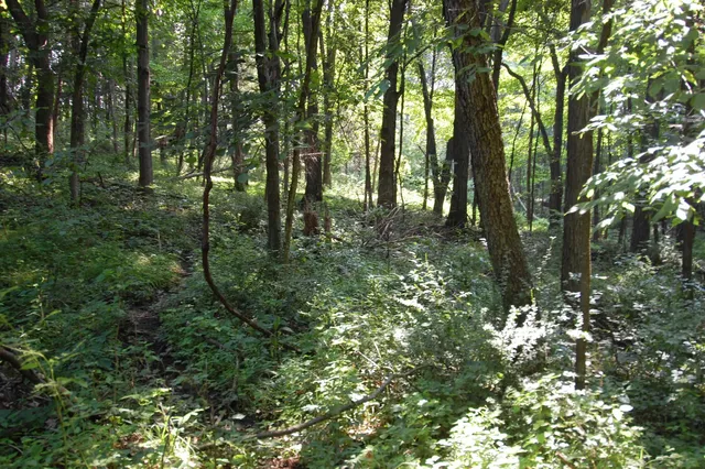 $391,500 | 45 Spring Hill Road, Richland Center, WI 53581