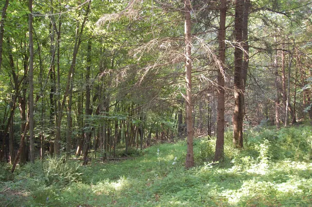 $391,500 | 45 Spring Hill Road, Richland Center, WI 53581