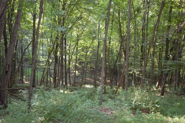 $391,500 | 45 Spring Hill Road, Richland Center, WI 53581