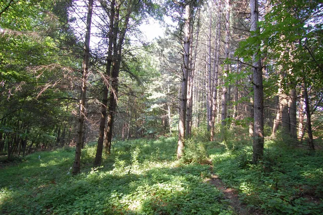 $391,500 | 45 Spring Hill Road, Richland Center, WI 53581