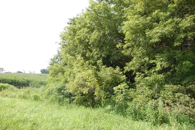 $391,500 | 45 Spring Hill Road, Richland Center, WI 53581