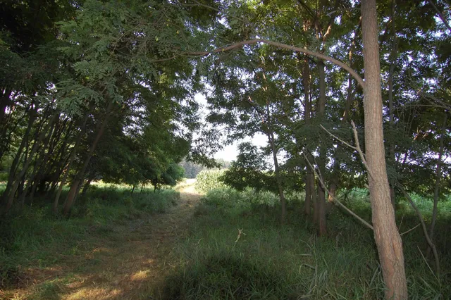 $391,500 | 45 Spring Hill Road, Richland Center, WI 53581