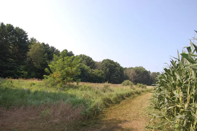 $391,500 | 45 Spring Hill Road, Richland Center, WI 53581