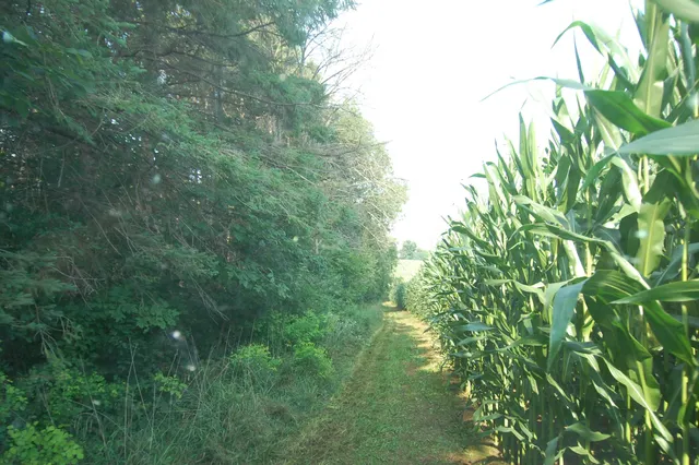 $391,500 | 45 Spring Hill Road, Richland Center, WI 53581