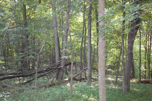 $391,500 | 45 Spring Hill Road, Richland Center, WI 53581