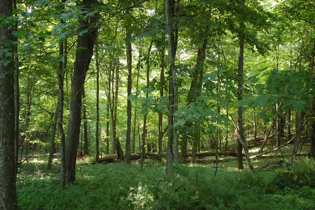 $391,500 | 45 Spring Hill Road, Richland Center, WI 53581