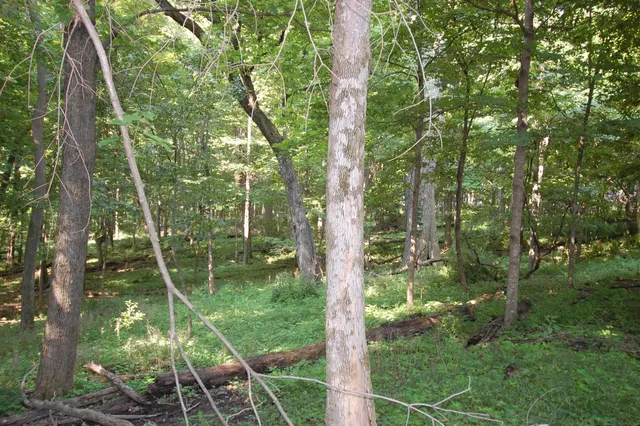 $391,500 | 45 Spring Hill Road, Richland Center, WI 53581