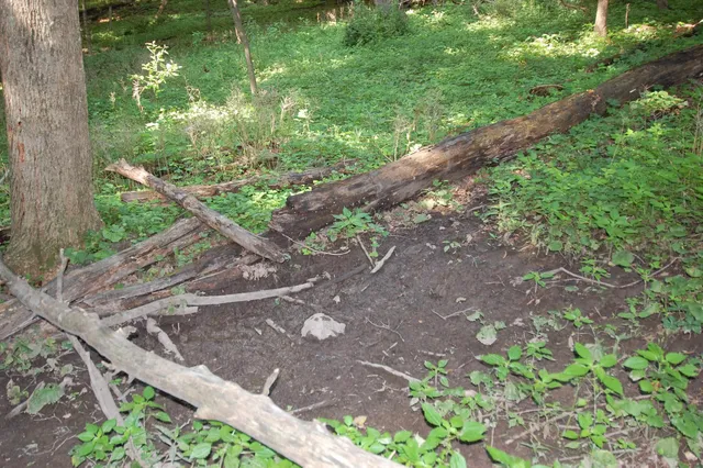 $391,500 | 45 Spring Hill Road, Richland Center, WI 53581