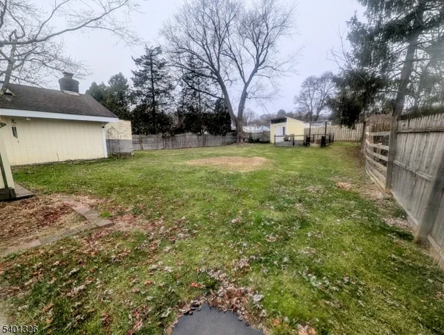 a view of a yard with plants and trees