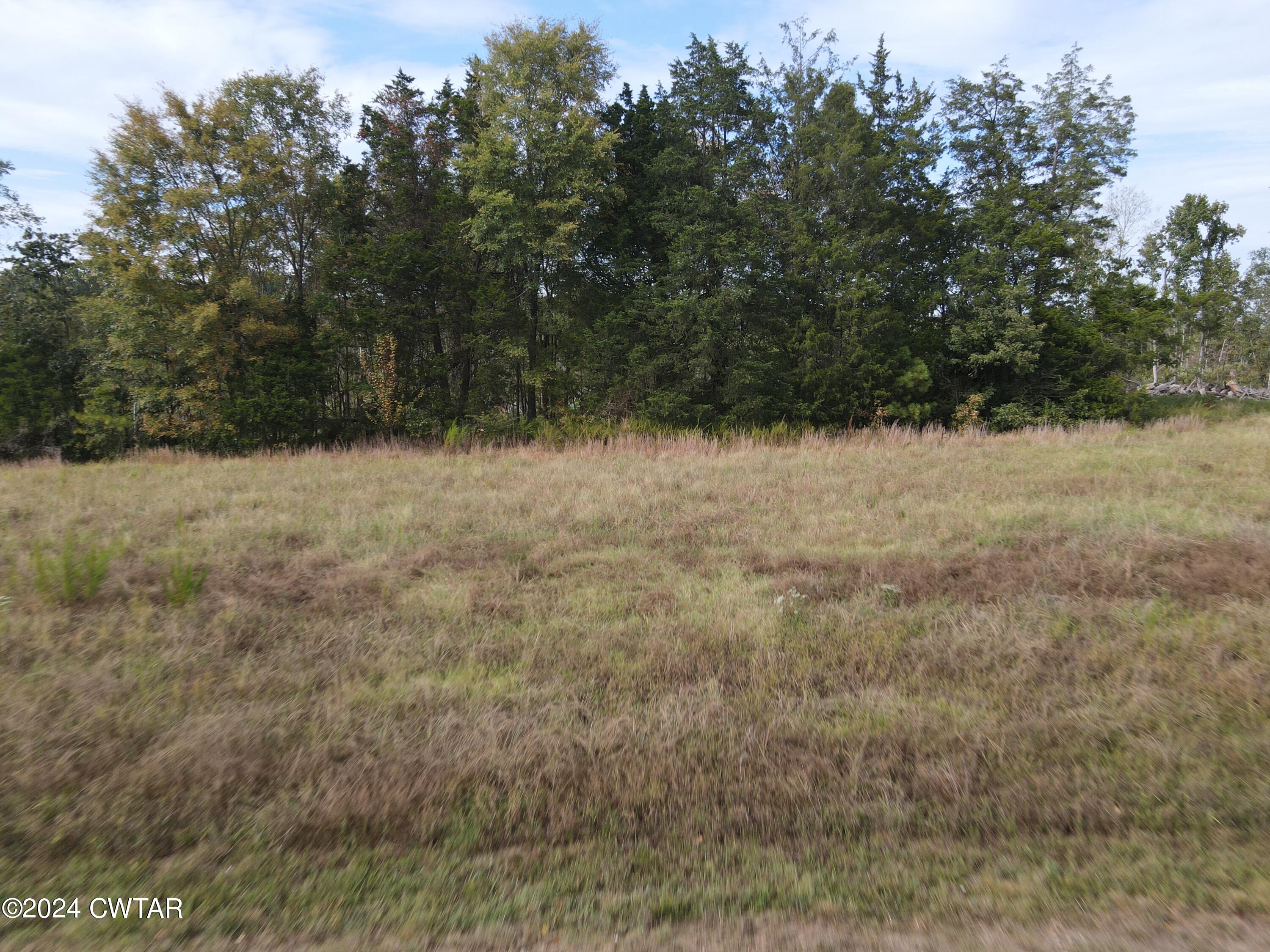 4 Hwy 100 & Old Stage Road Decaturville, TN 38329 - Photo 3 of 6 dji_fly_20240831_164548_617_172513716118