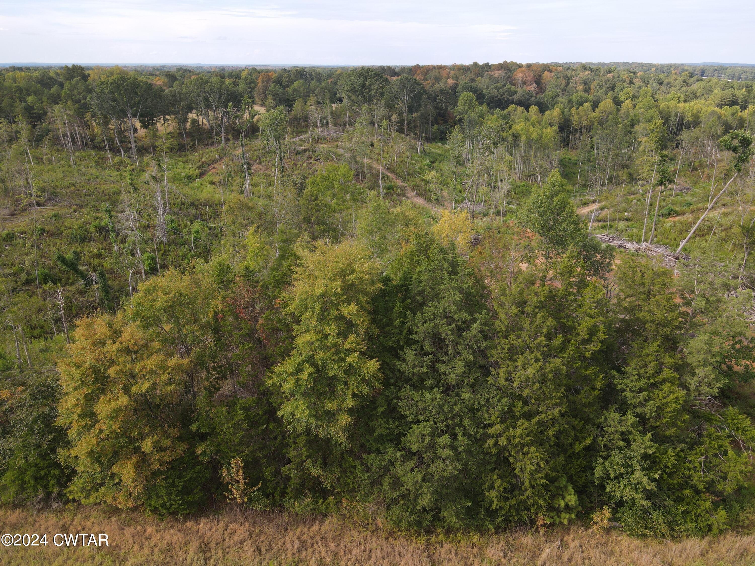 4 Hwy 100 & Old Stage Road Decaturville, TN 38329 - Photo 4 of 6 dji_fly_20240831_164558_618_172513717014