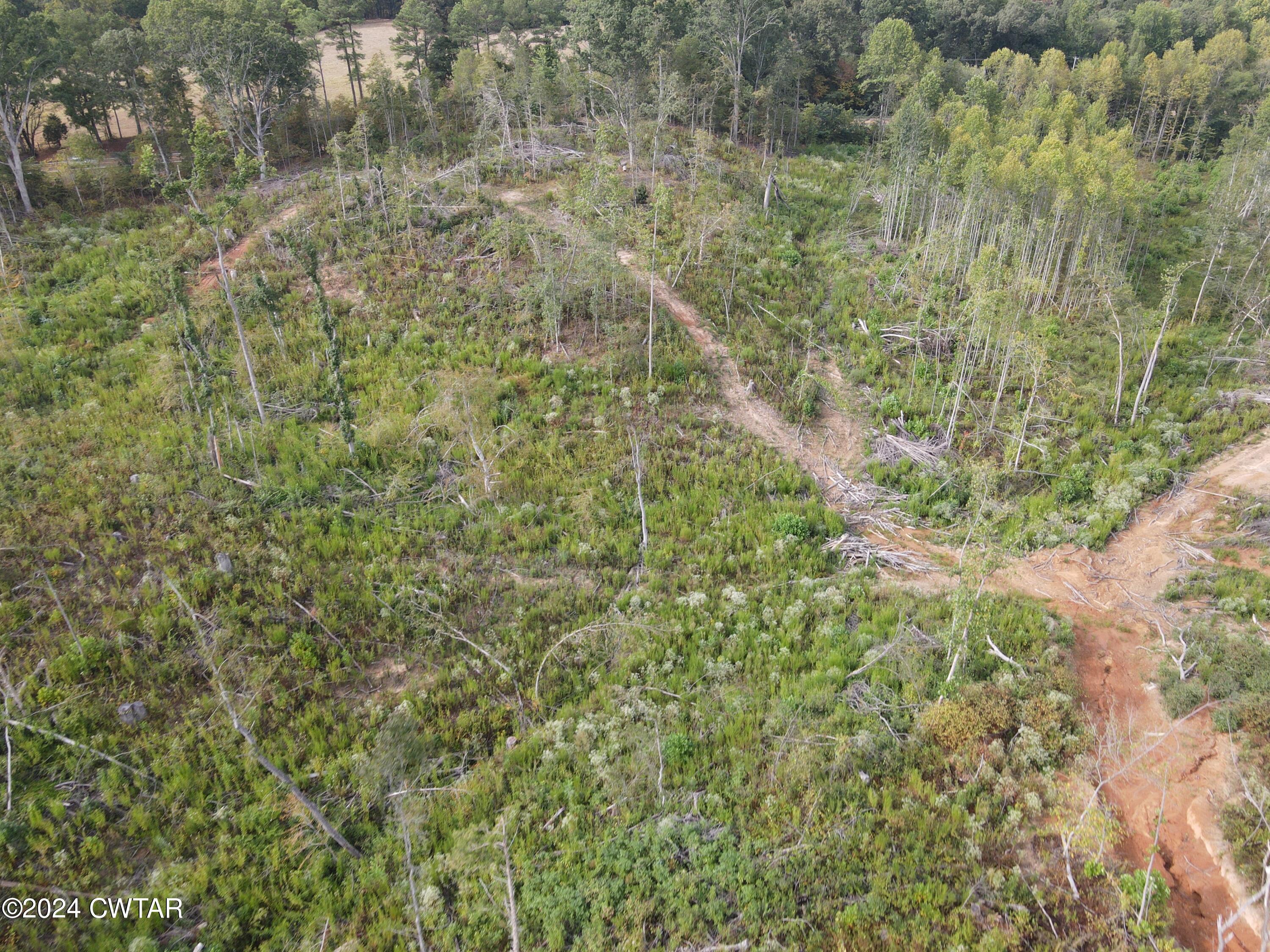 4 Hwy 100 & Old Stage Road Decaturville, TN 38329 - Photo 5 of 6 dji_fly_20240831_164614_620_172513718687