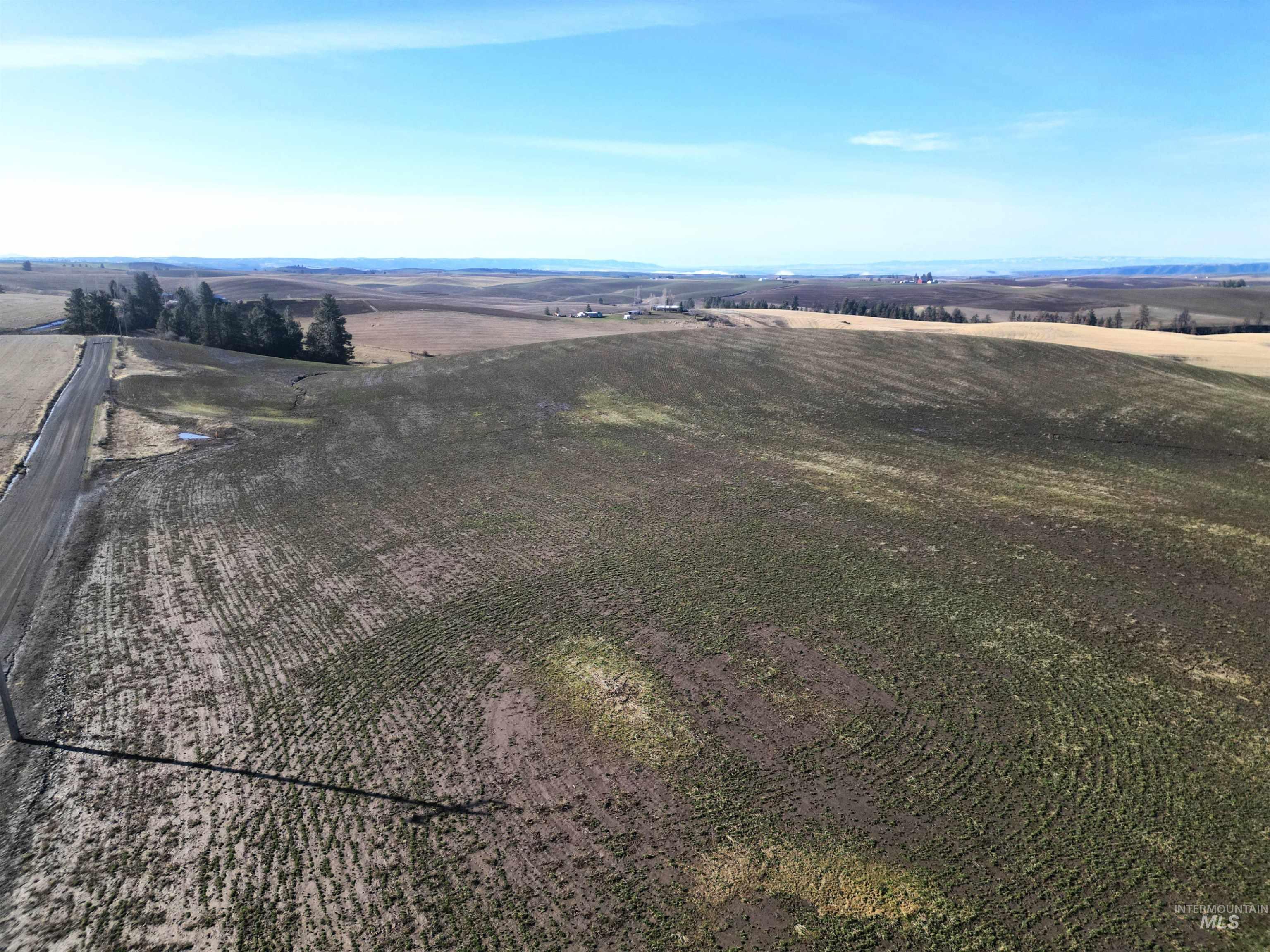 0 Wendt Road Kendrick, ID 83537 - Photo 15 of 42