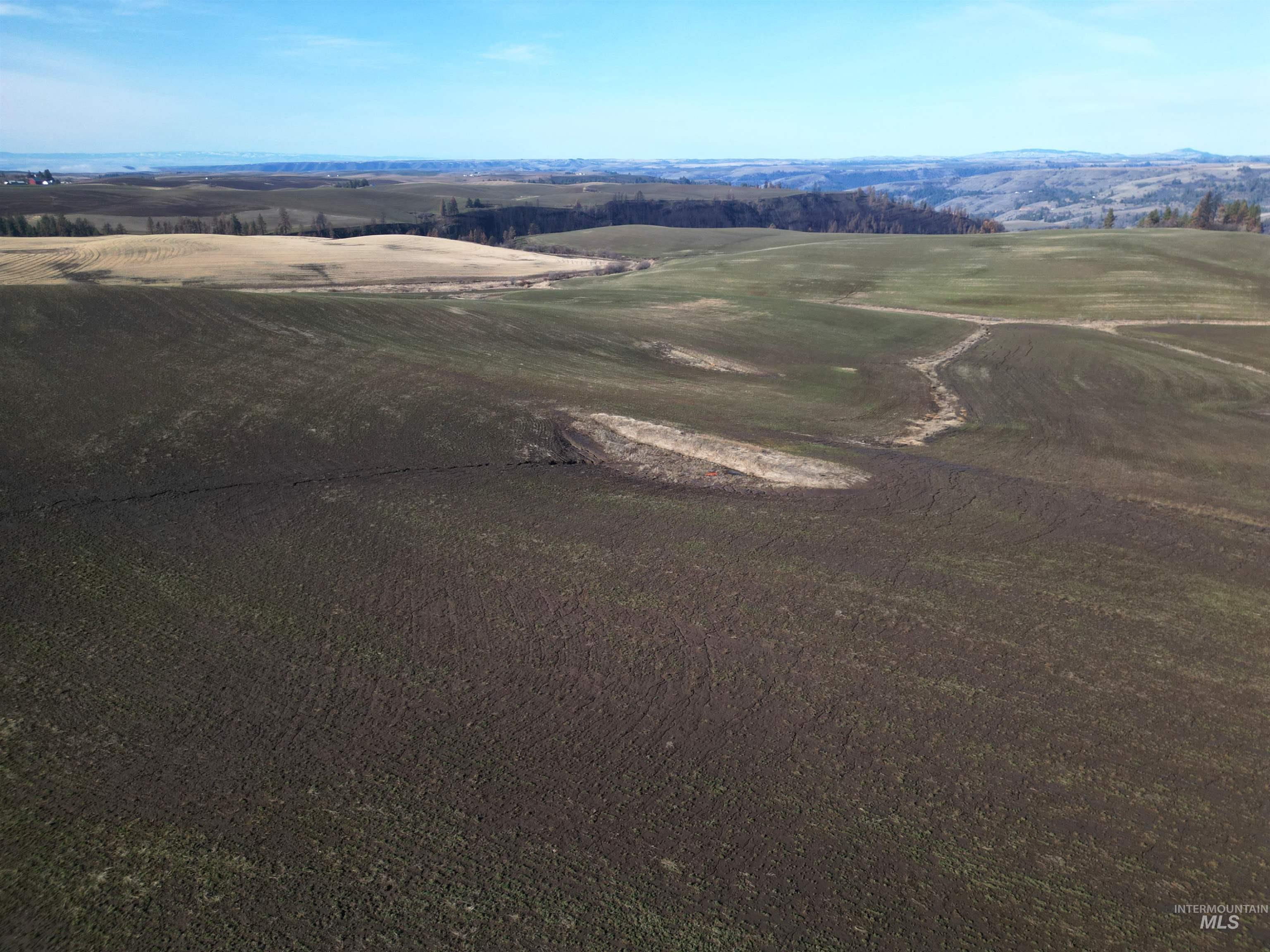 0 Wendt Road Kendrick, ID 83537 - Photo 16 of 42