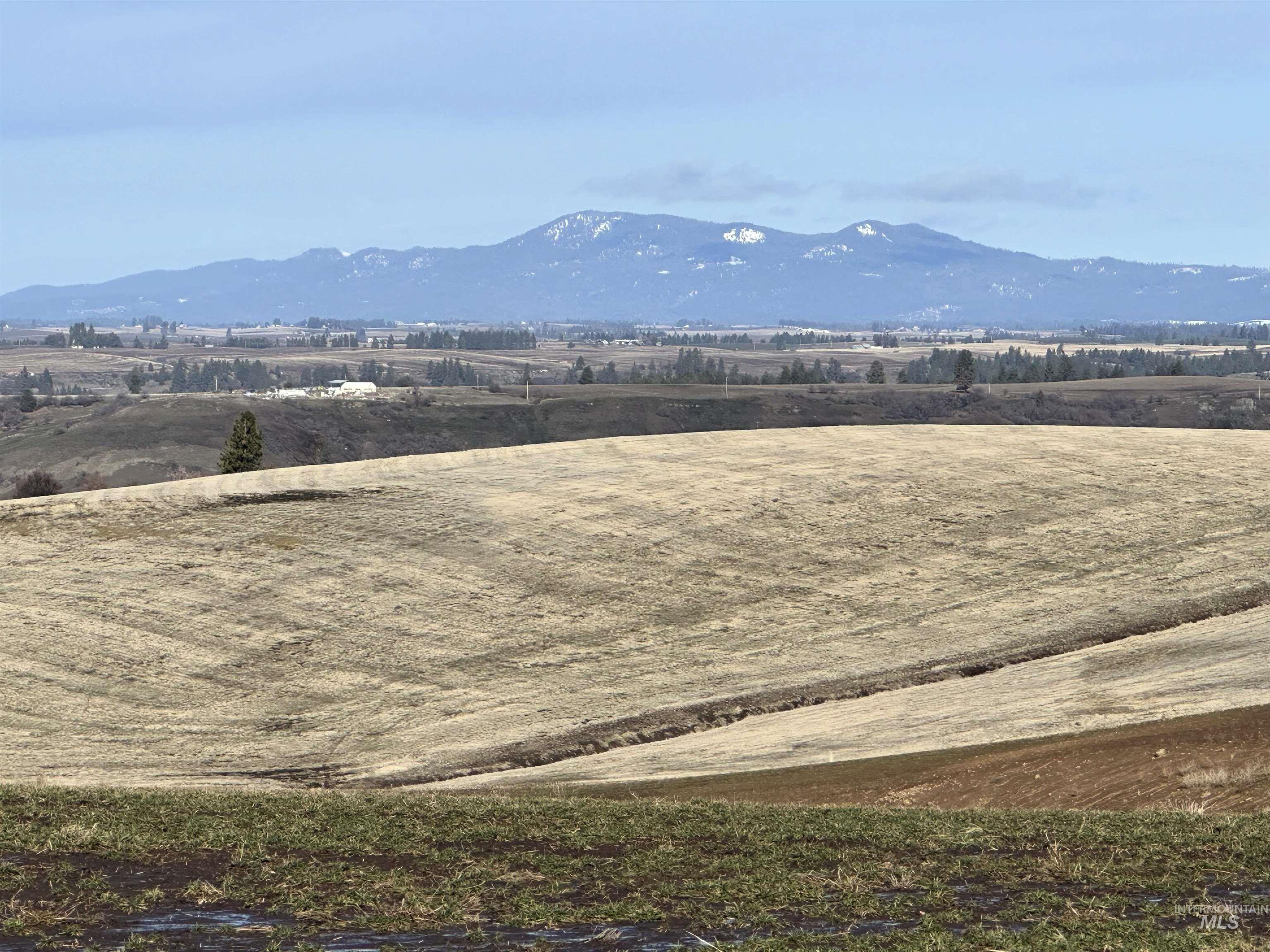 0 Wendt Road Kendrick, ID 83537 - Photo 22 of 42