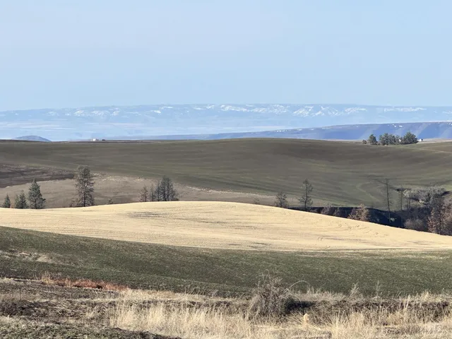 $538,551 | 0 Wendt Road, Kendrick, ID 83537