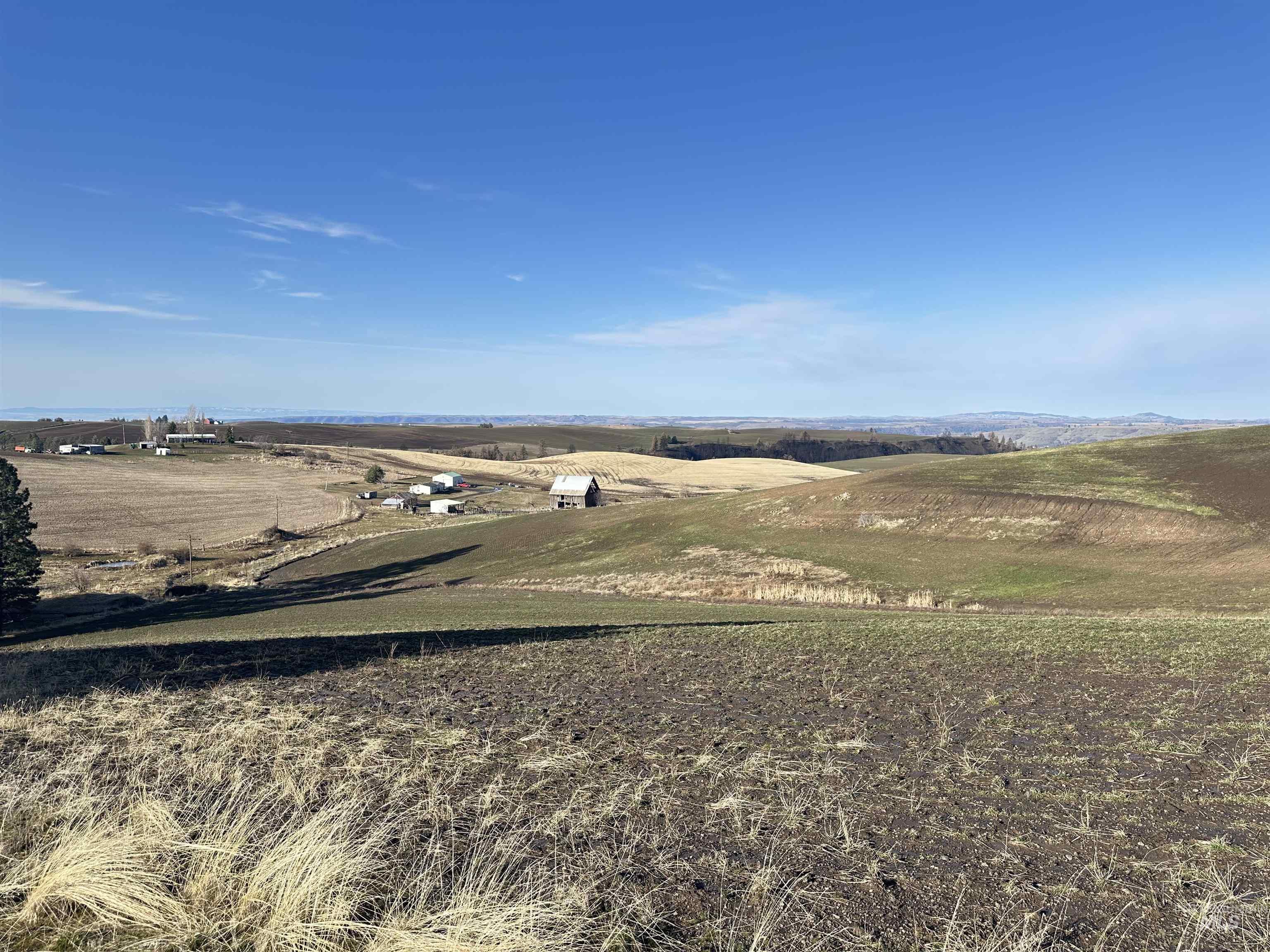 0 Wendt Road Kendrick, ID 83537 - Photo 24 of 42