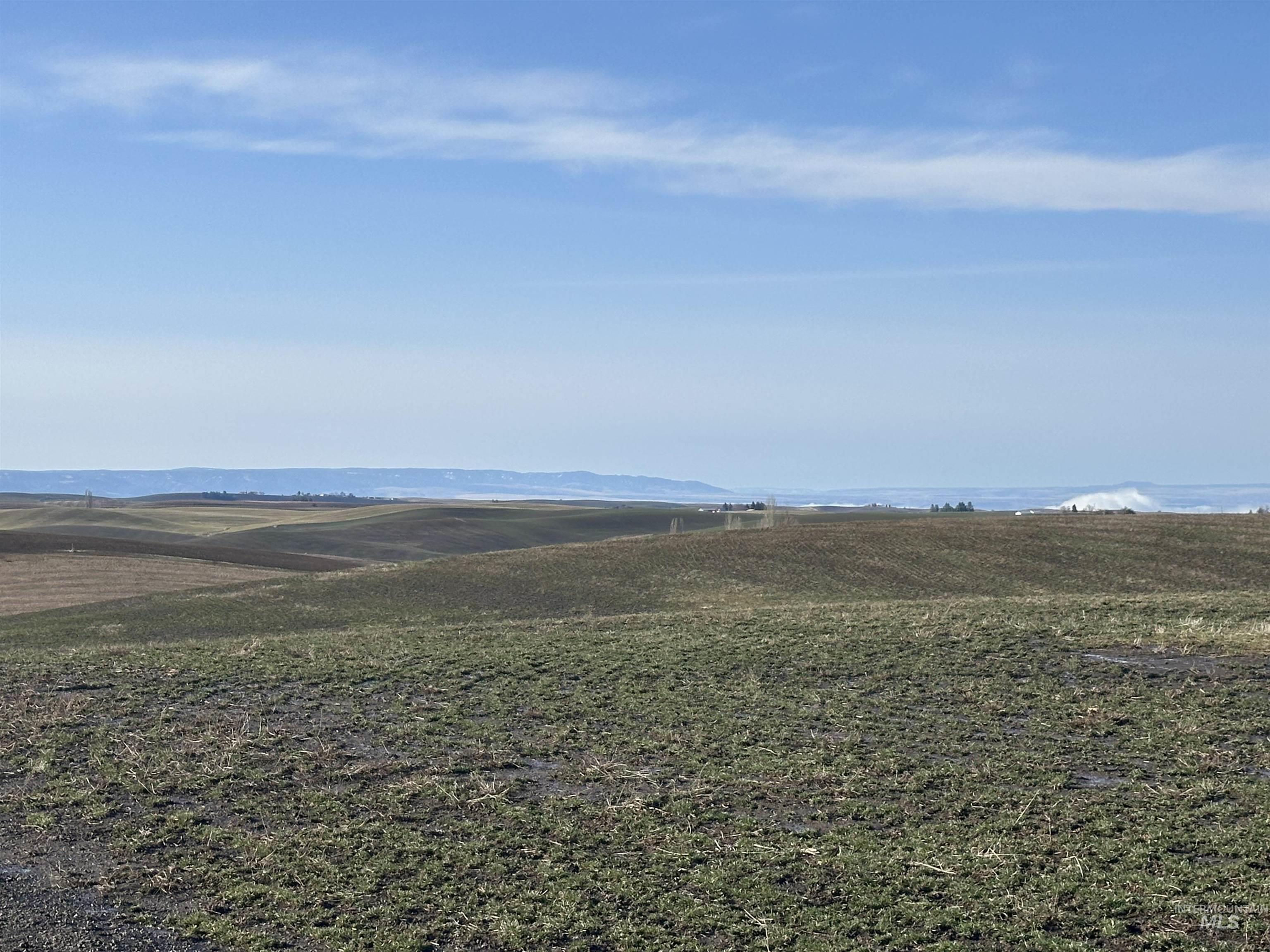 0 Wendt Road Kendrick, ID 83537 - Photo 25 of 42