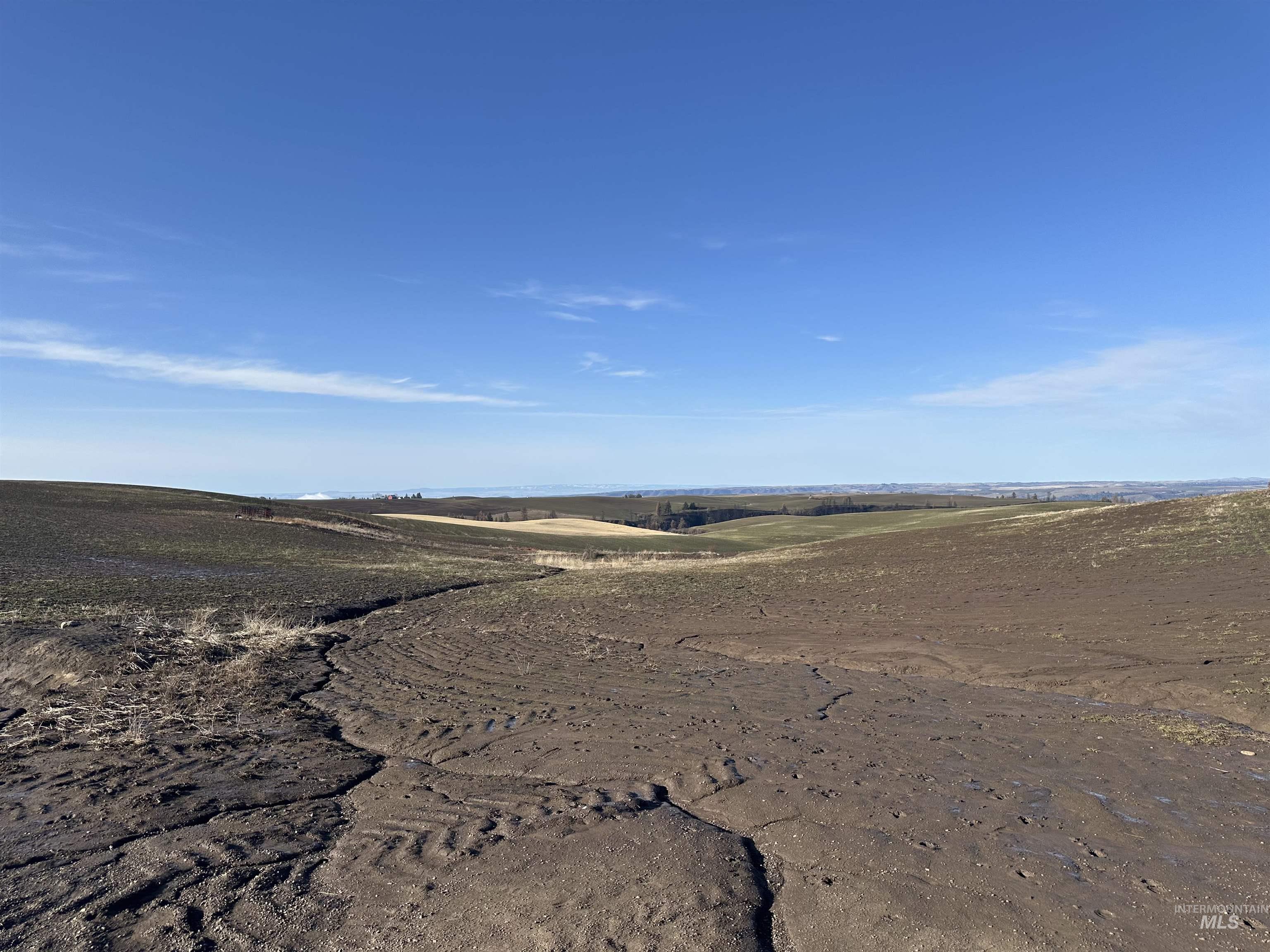 0 Wendt Road Kendrick, ID 83537 - Photo 29 of 42