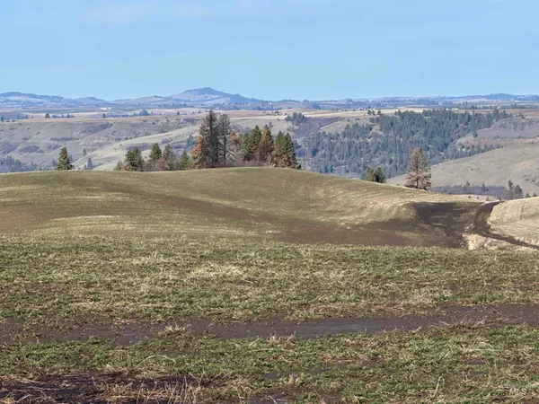 $538,551 | 0 Wendt Road, Kendrick, ID 83537
