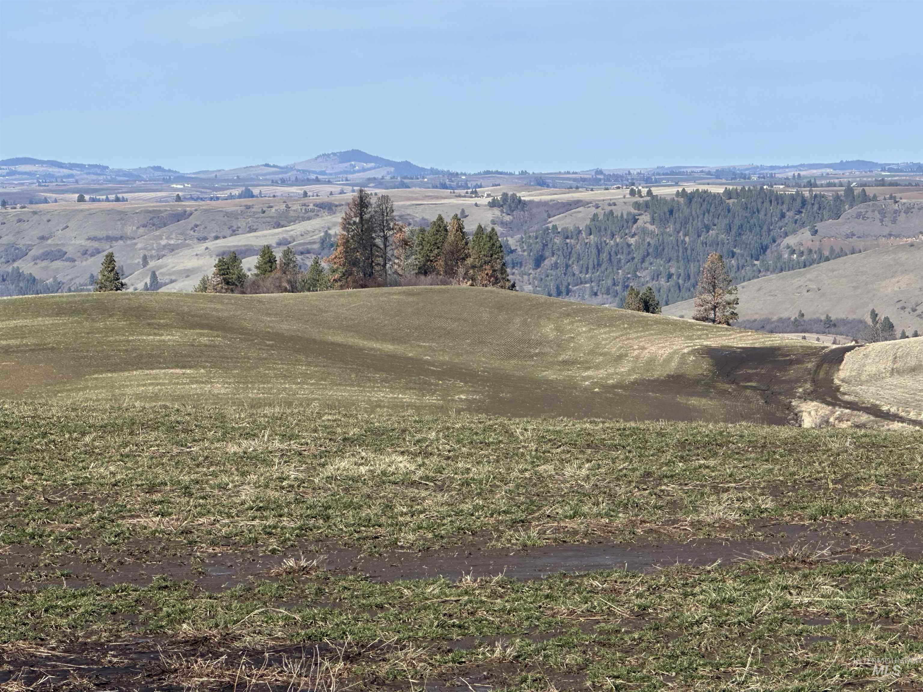 0 Wendt Road Kendrick, ID 83537 - Photo 30 of 42