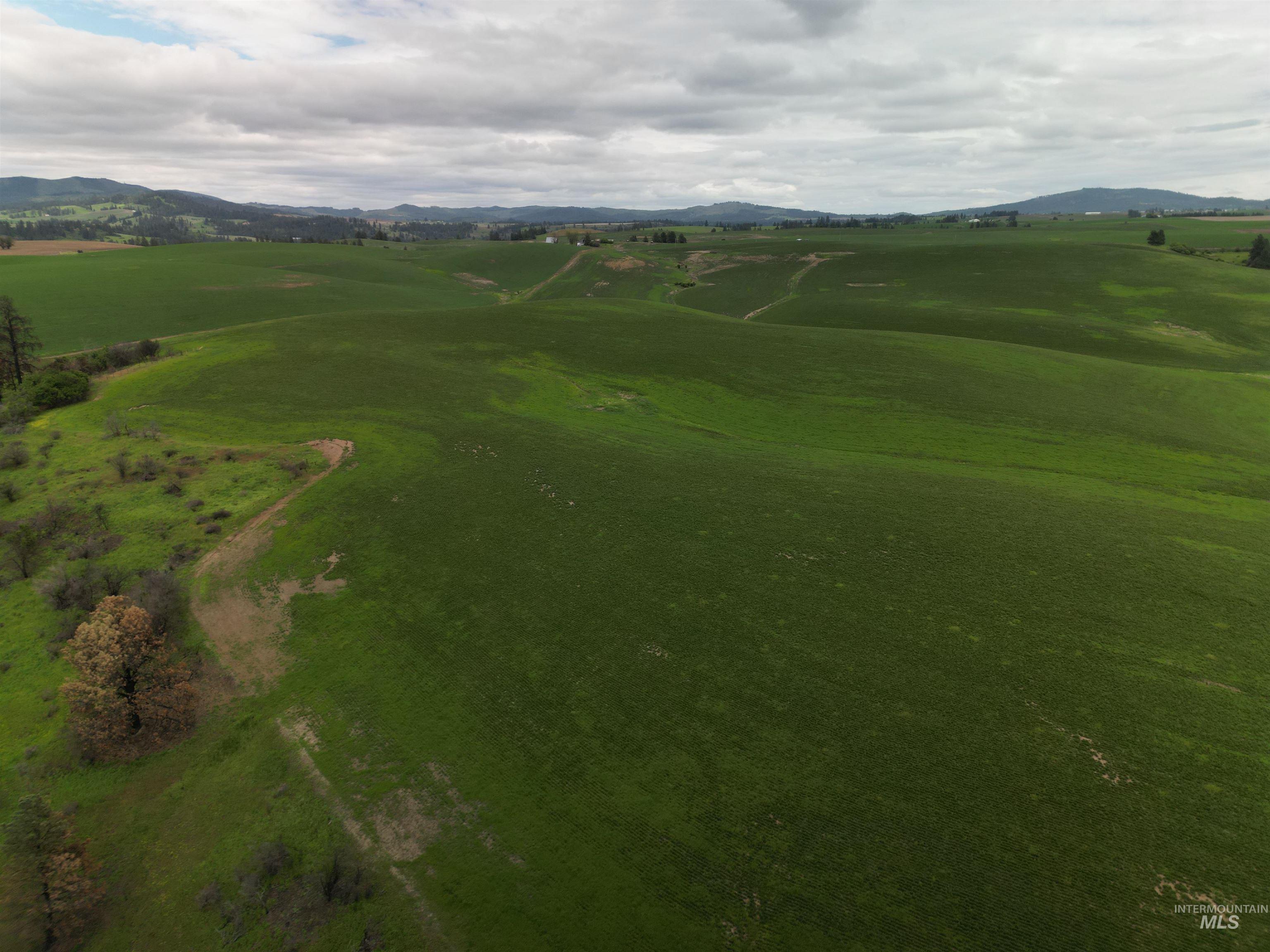 0 Wendt Road Kendrick, ID 83537 - Photo 3 of 42