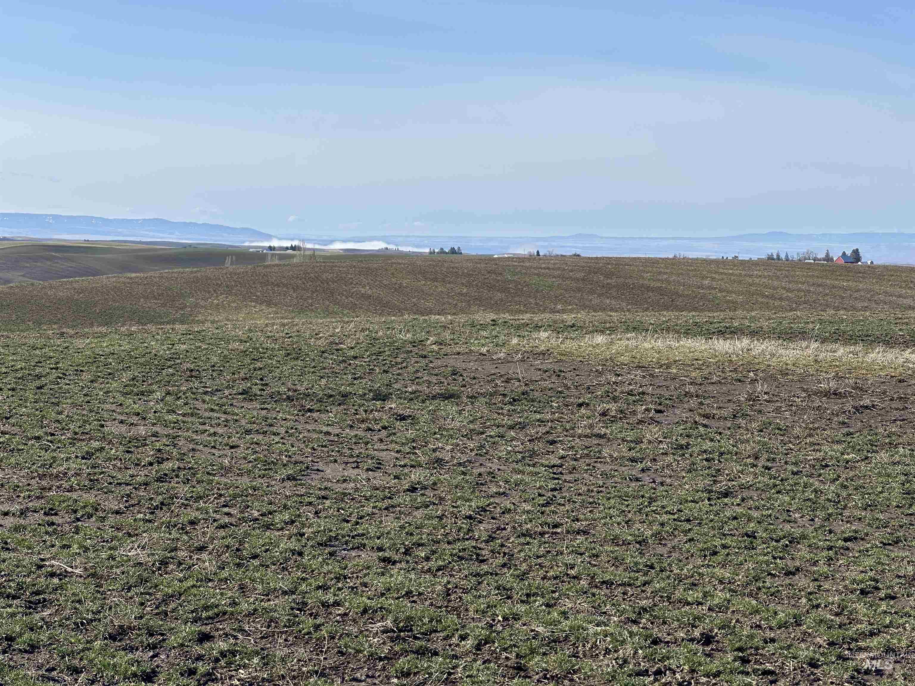 0 Wendt Road Kendrick, ID 83537 - Photo 31 of 42