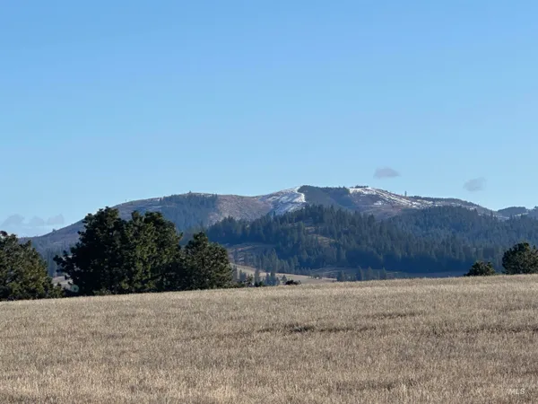 $538,551 | 0 Wendt Road, Kendrick, ID 83537