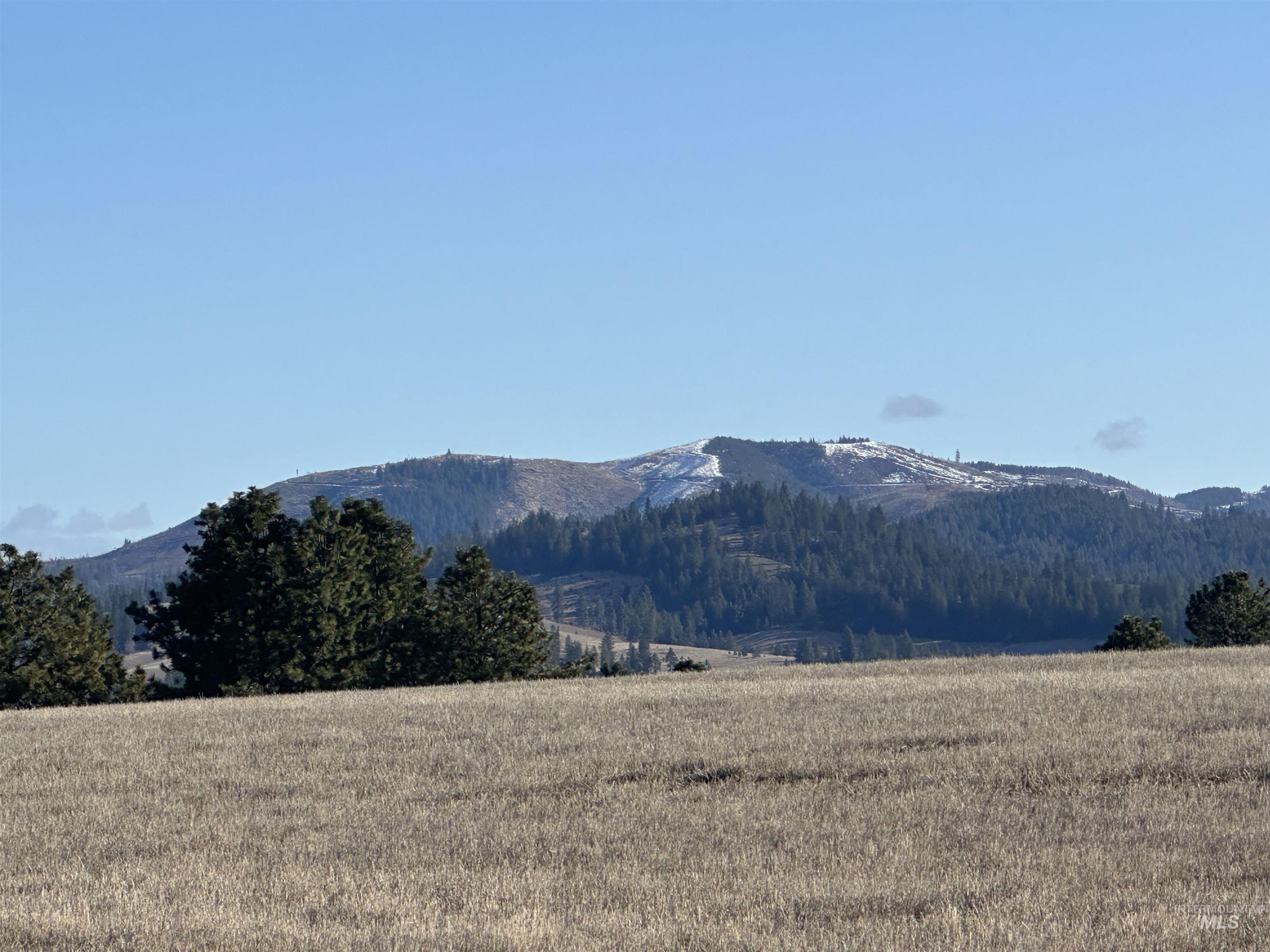 0 Wendt Road Kendrick, ID 83537 - Photo 32 of 42