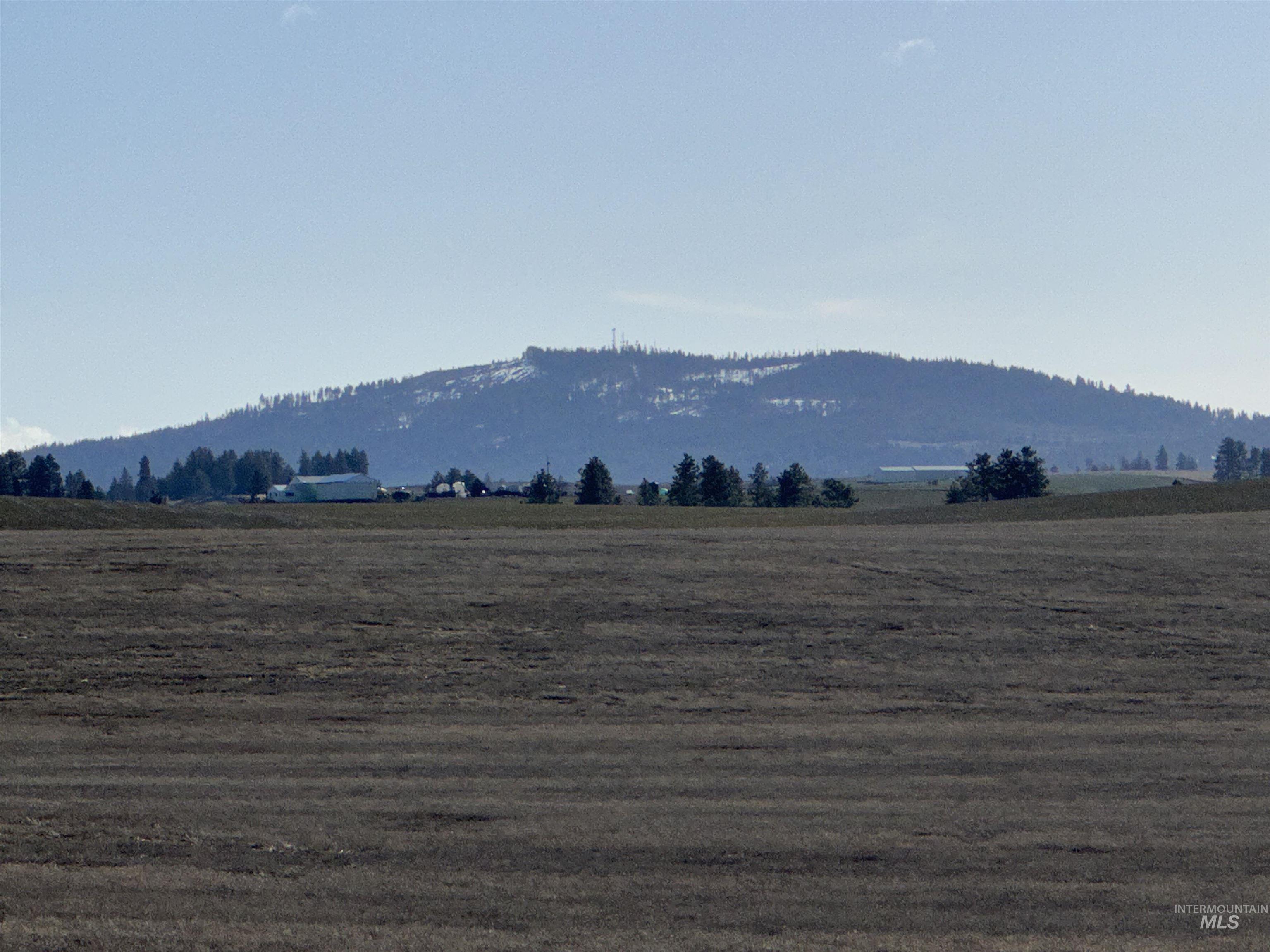 0 Wendt Road Kendrick, ID 83537 - Photo 33 of 42