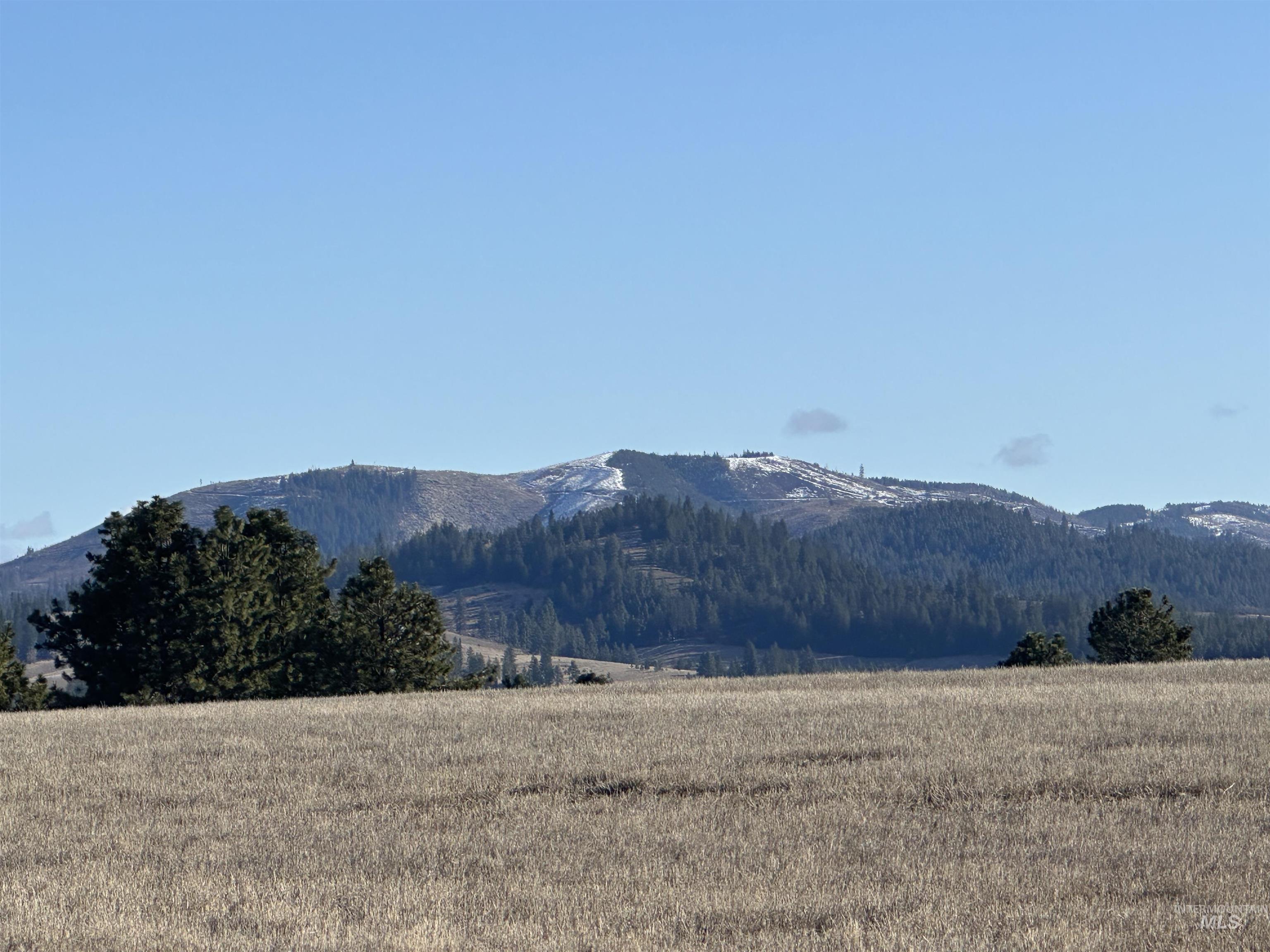 0 Wendt Road Kendrick, ID 83537 - Photo 35 of 42