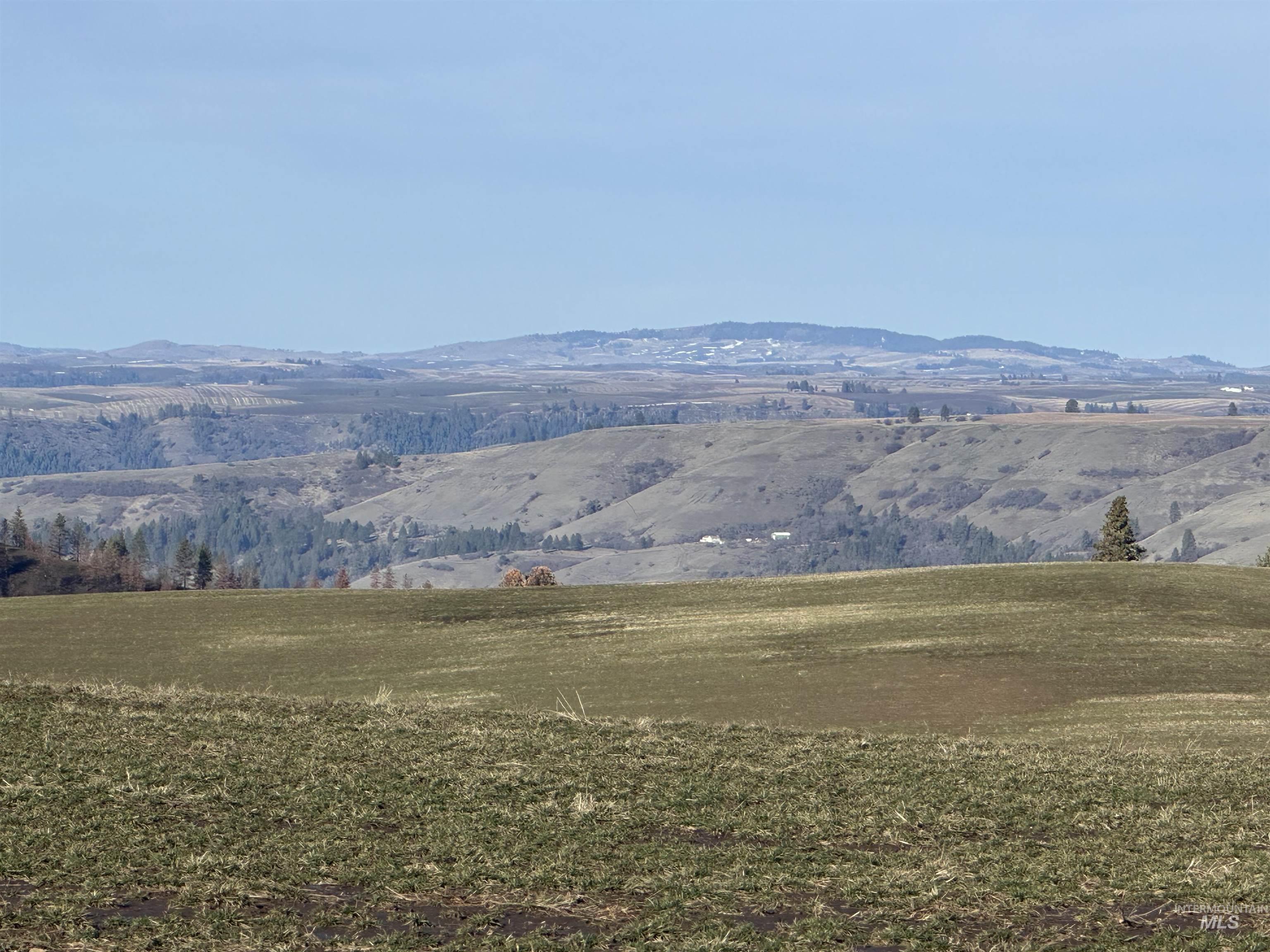 0 Wendt Road Kendrick, ID 83537 - Photo 36 of 42