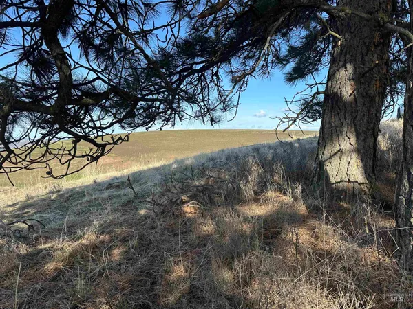 $538,551 | 0 Wendt Road, Kendrick, ID 83537