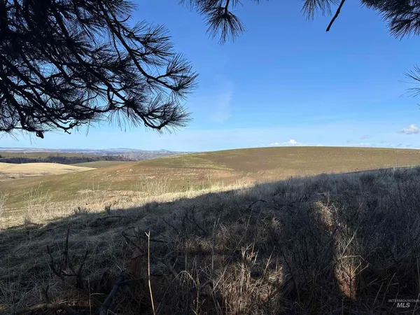 $538,551 | 0 Wendt Road, Kendrick, ID 83537